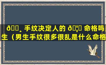 🌸 手纹决定人的 🦁 命格吗男生（男生手纹很多很乱是什么命格）